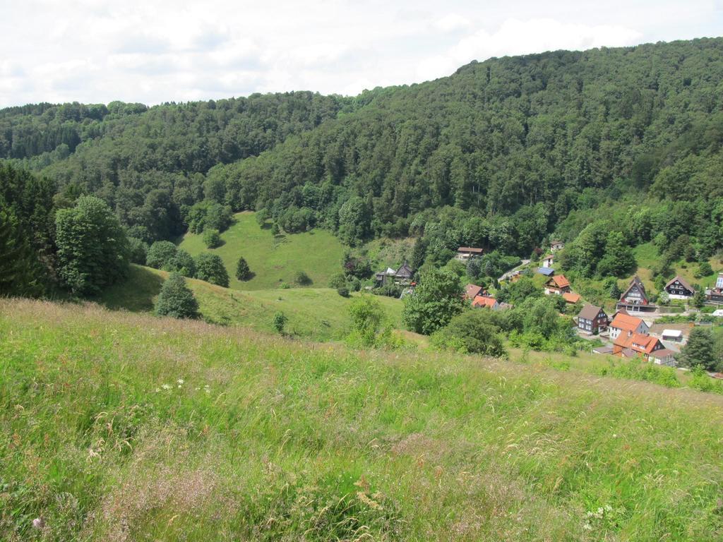 Osterode am HarzHexenstieg House Lerbachアパートメント エクステリア 写真